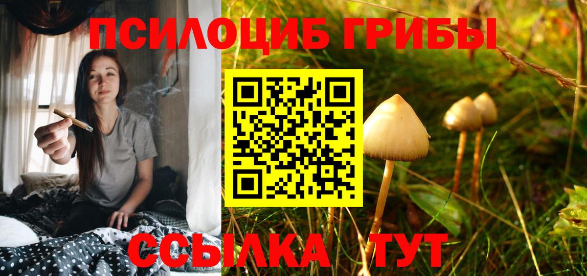 Нижневартовск  Псилоцибиновые грибы Cubensis  Псилоцибиновые грибы мицелий  Вход с VPN 